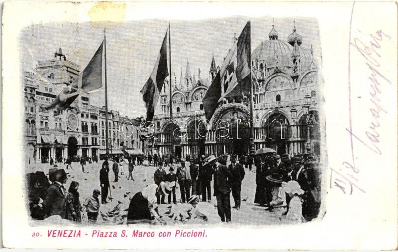 Venice, Venezia; Piazza S. Marco con Piccioni