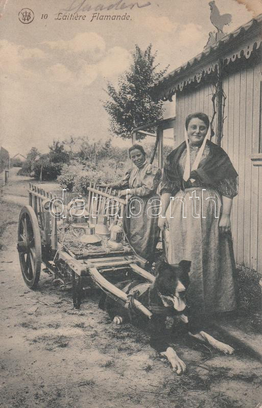 Laitiére Flamande / Flemish dairy vendors, folklore, Flamand tejárusok, folklór