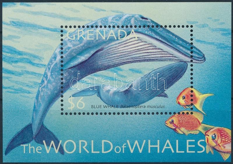 Kék bálna blokk, Blue whale block