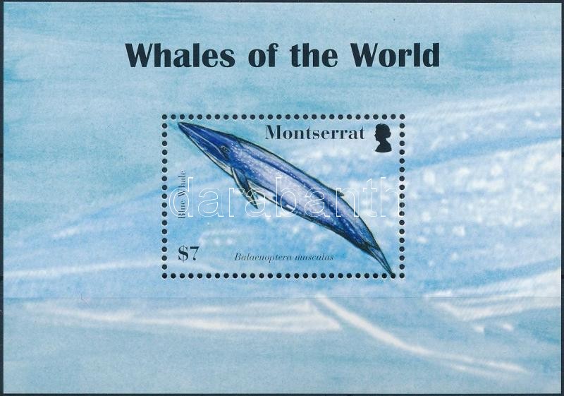 Blue whale block, Kék bálna blokk