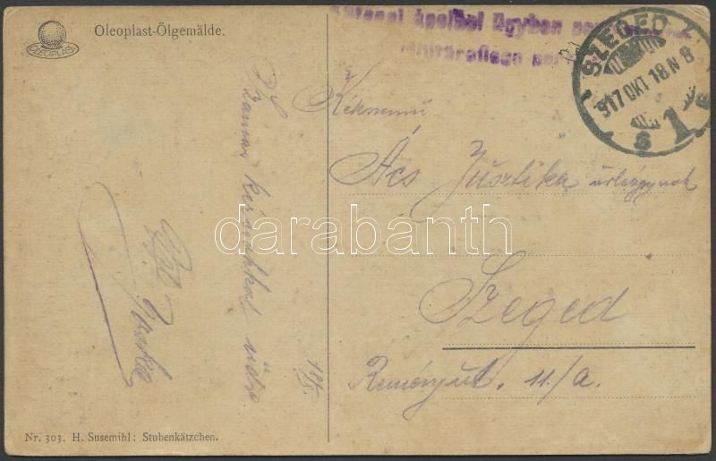 Austria-Hungary Field postcard, Tábori posta képeslap &quot;Katonai ápolási ügyben&quot; + &quot;SZEGED&quot;