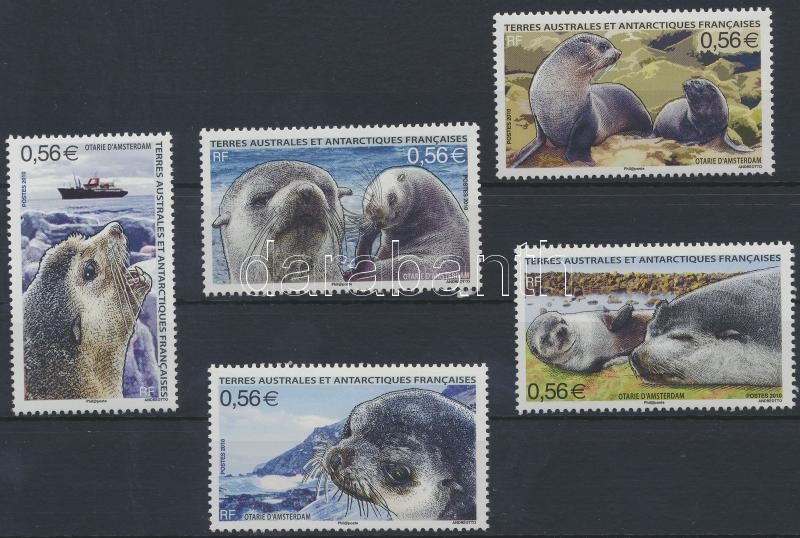 Seals set from block, Fókák blokkból kitépett sor