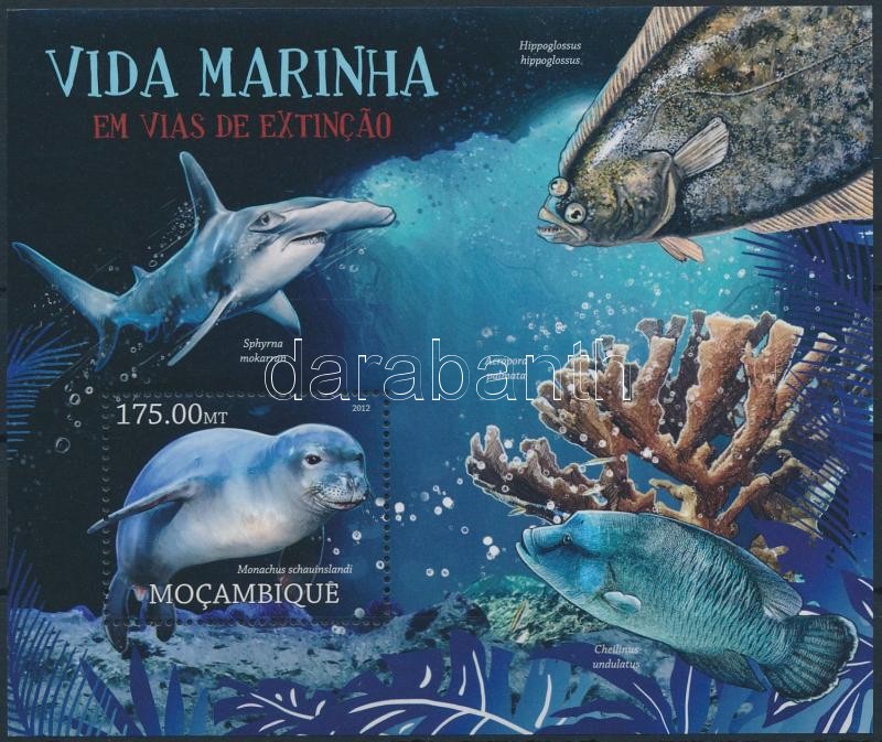 Rare marine animals block, Ritka tengeri állatok blokk
