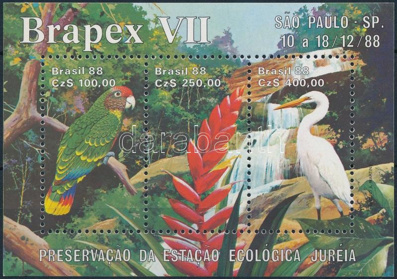 International Stamp Exhibition, BRAPEX Sao Paulo block, Nemzetközi bélyegkiállítás, BRAPEX Sao Paulo blokk