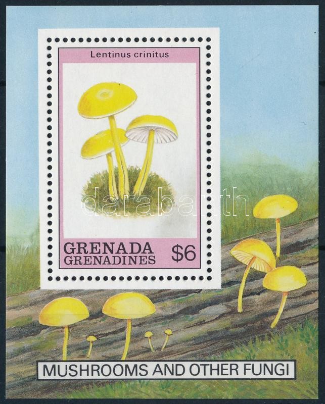 Gombák blokk, Mushrooms block
