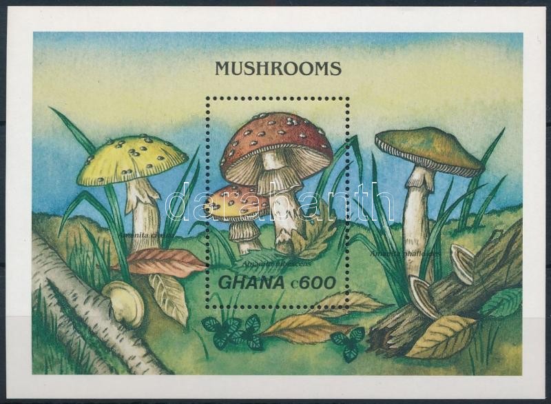 Mushrooms block, Gombák blokk