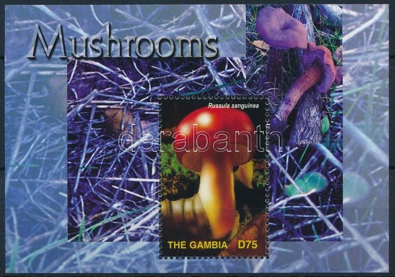 Mushrooms block, Gomba blokk