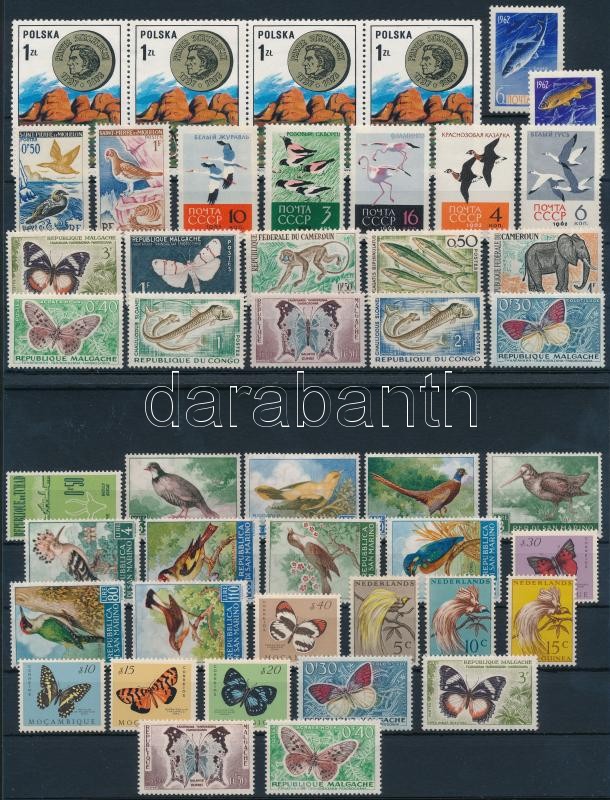 Animals 52 stamps, Állat motívum 52 db bélyeg 3 stecklapon