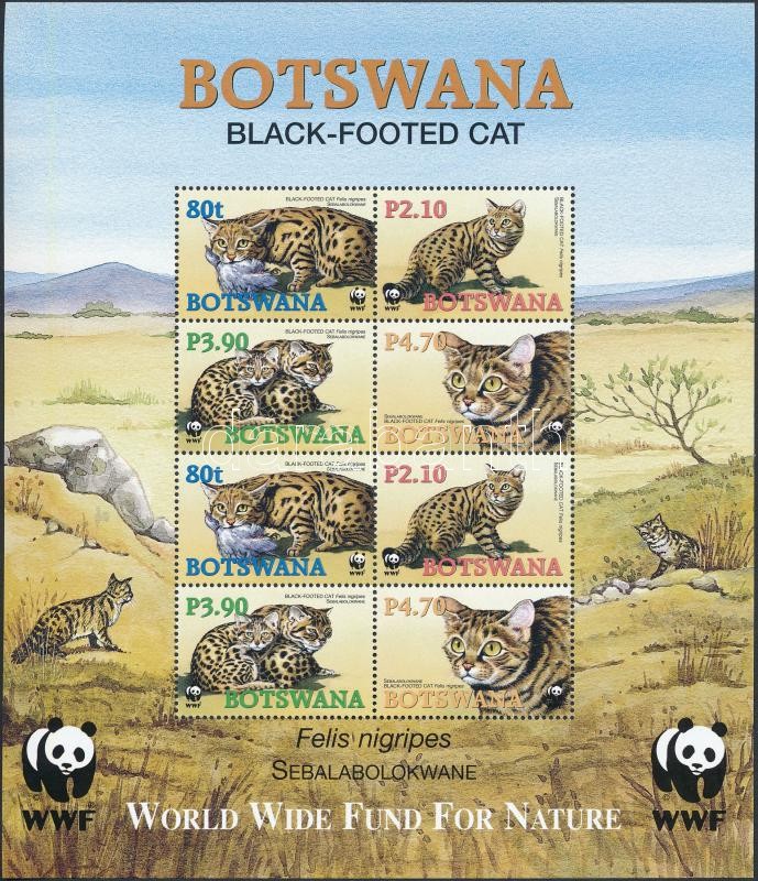 WWF: Black-footed cat set + minisheet, WWF: Feketelábú macska sor + kisív