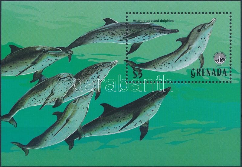 Ocean year: Dolphin block, Az óceán éve: Delfin blokk