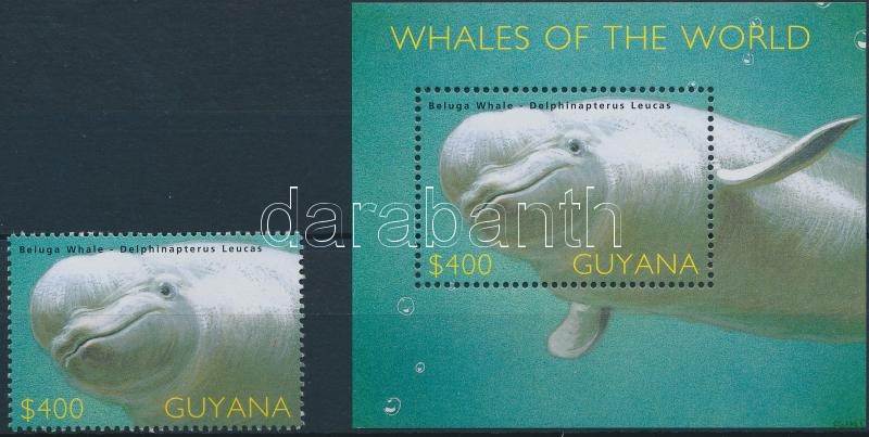 Dolphin block + stamp from block, Delfin blokk + blokkból kitépett bélyeg