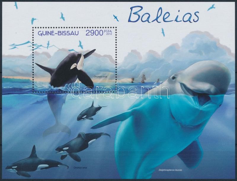 Orca block, Kardszárnyú delfin blokk