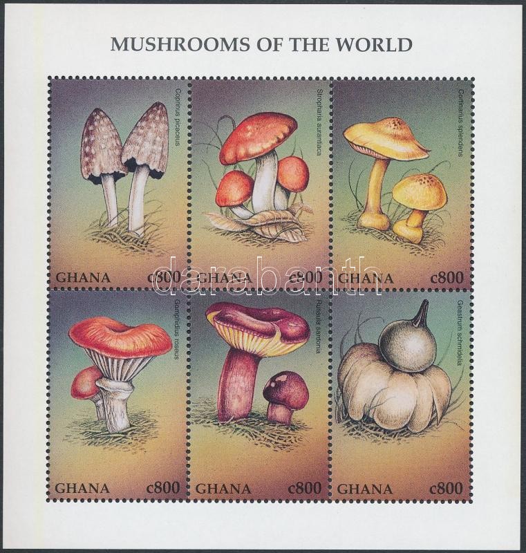Gombák kisív, Mushrooms minisheet
