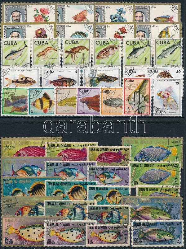 Hal motívum 92 db bélyeg és 1 blokk 4 stecklapon, Fishes 92 stamps + 1 block