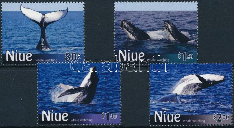 Whale set, Bálna sor