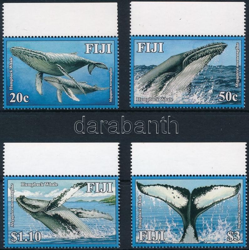 Whale margin set, Bálna ívszéli sor