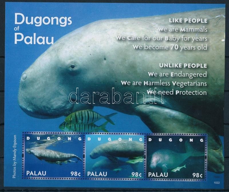Dugong kisív, Dugong minisheet