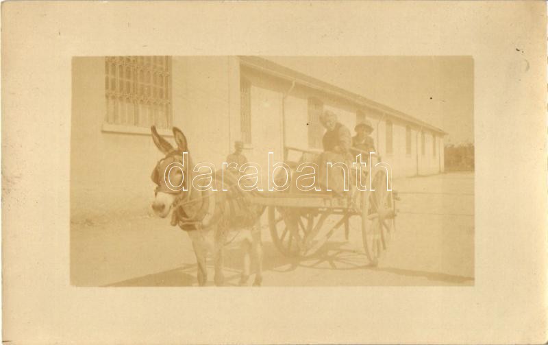 1918 Verona, donkey cart, folklore, photo