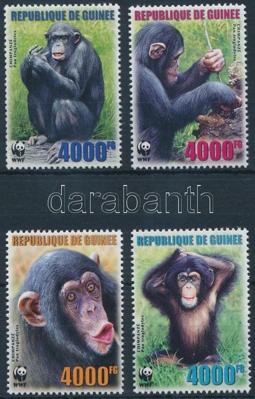 WWF: Csimpánz sor, WWF: Chimpanzee set