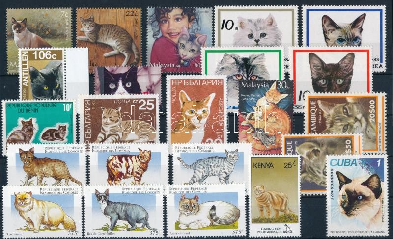 Macska motívum 23 klf bélyeg, Cats 23 stamps