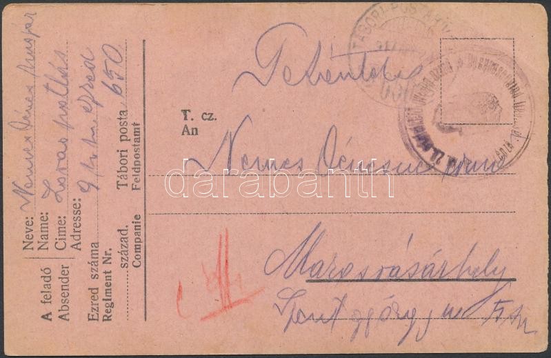 Austria-Hungary field postcard, Tábori posta levelezőlap &quot;TP 650&quot;