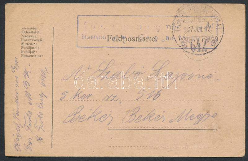 Austria-Hungary Field postcard, Tábori posta levelezőlap &quot;TP 642&quot;