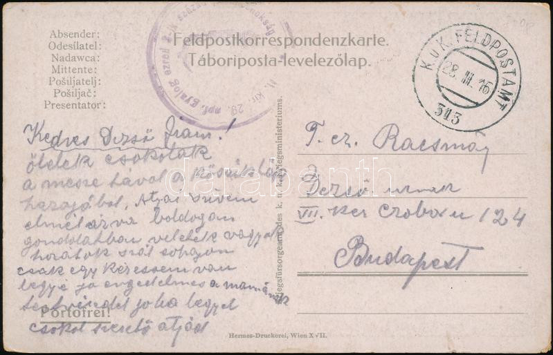 Tábori posta képeslap &quot;M.kir. 29. npf. gyalog ezred 3-ik század parancsnokság&quot; + &quot;FP 313&quot;, Austria-Hungary Field postcard &quot;M.kir. 29. npf. gyalog ezred 3-ik század parancsnokság&quot; + &quot;FP 313&quot;