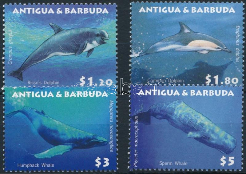 Marine animals set, Tengeri állatok sor