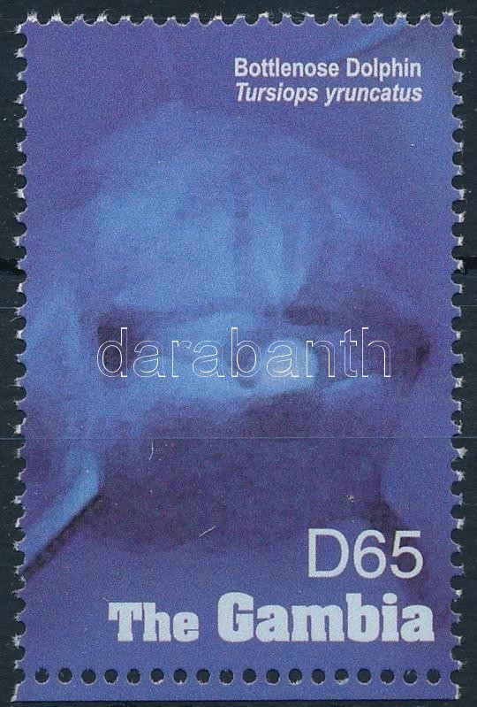 Dolphin stamp, Delfin bélyeg