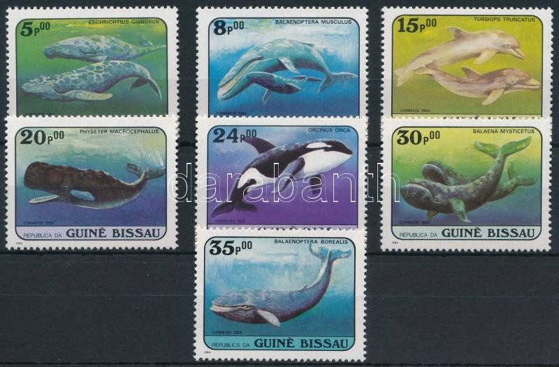 Marine animals set, Tengeri állatok sor