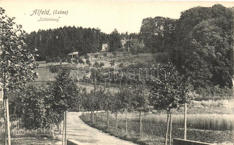 Alfeld, Schlehberg, Photogr. und Verlag Gustav Böger