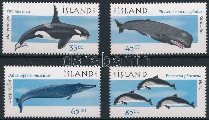 Whales, dolphins set, Bálnák, delfinek sor