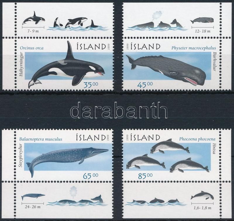 Whales, dolphins corner set, Bálnák, delfinek ívsarki sor