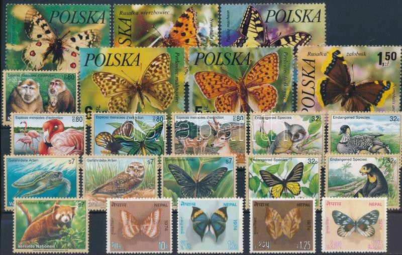 Butterfly, nature 50 stamps, Lepke, Természet motívum 50 klf bélyeg 2 stecklapon