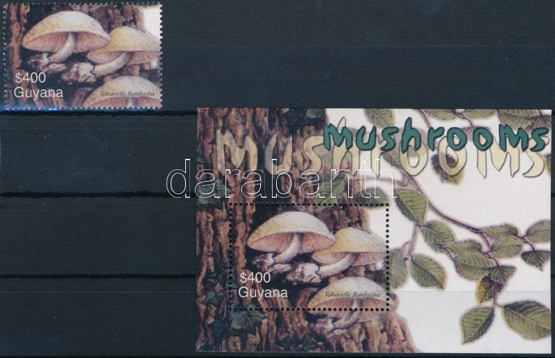Gomba sor záróértéke + blokk, Mushroom closing stamp + block