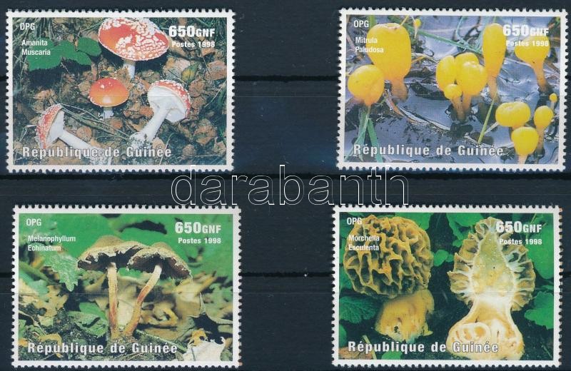 Mushroom; stamp exhibition set, Gomba; bélyegkiállítás sor