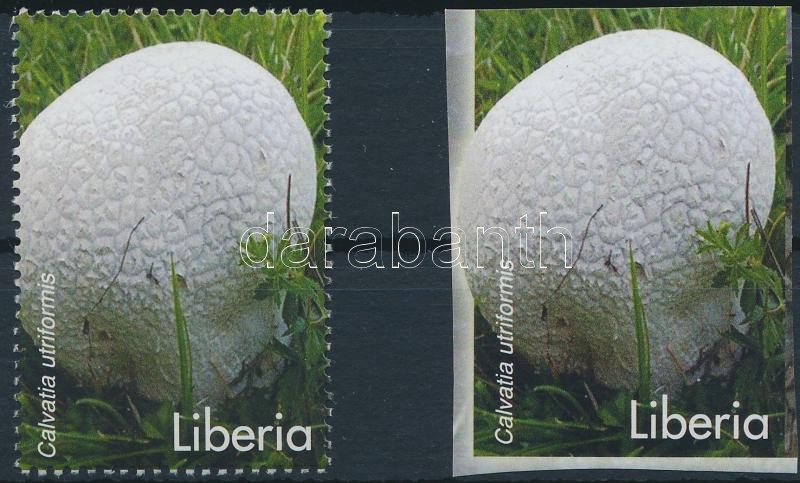 Mushroom perforated and imperforated stamps missing face value, Gomba vágott és fogazott bélyeg elmaradt értékszámmal