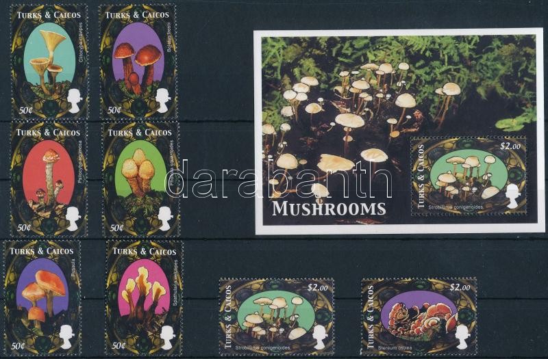 Mushrooms, Gomba sor 4 értéke