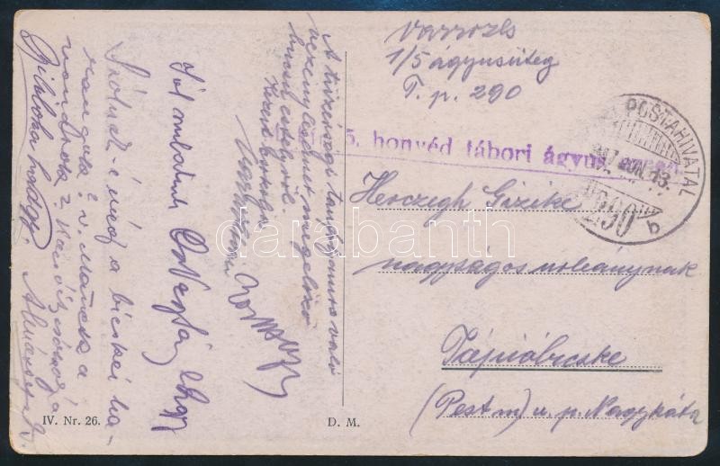Austria-Hungary Field Postcard &quot; M. kir. 5. honvéd tábori ágyus ezred&quot; + &quot;TP 290 b&quot;, Tábori posta képeslap &quot; M. kir. 5. honvéd tábori ágyus ezred&quot; + &quot;TP 290 b&quot;