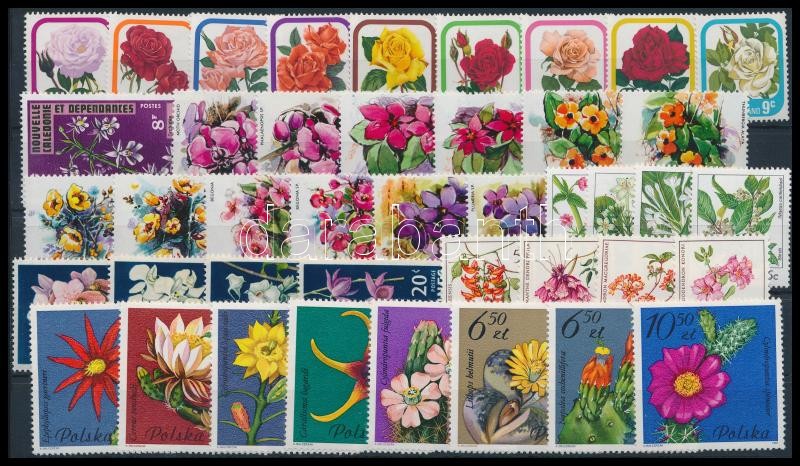 Flower 1962-1981 5 sets + 13 stamps, Virág motívum 1962-1981 5 klf sor + 13 önálló érték