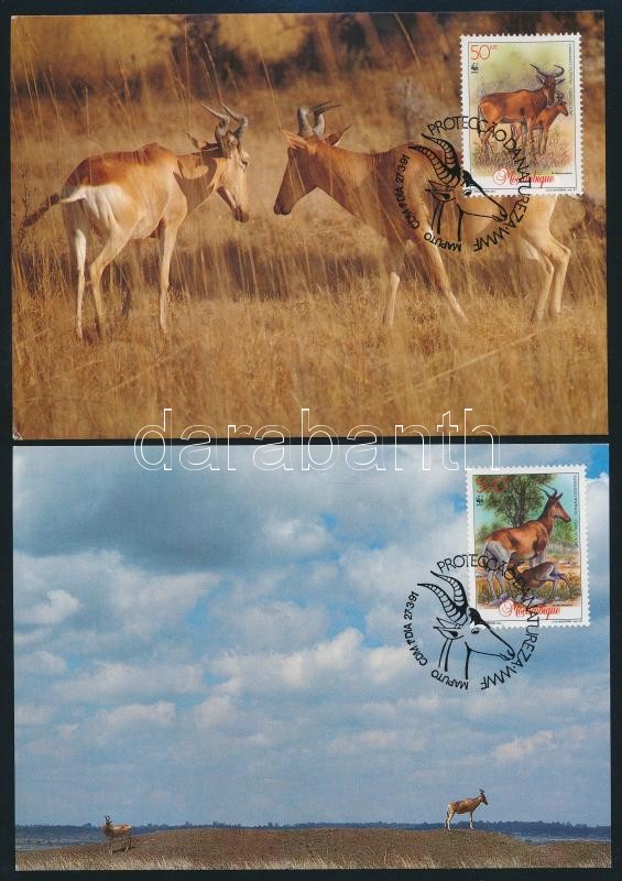 WWF: Antelopes set on 4 CM, WWF: Antilopok sor 4 db CM-en