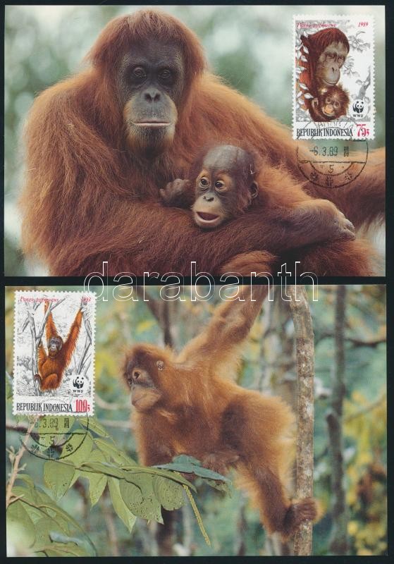 WWF: Orangután sor 4 db CM-en, WWF Orangutan set 4 CM