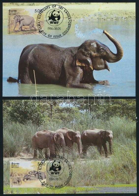 WWF: Elefánt sor 4 db CM-en, WWF: Elephant set on 4 CM