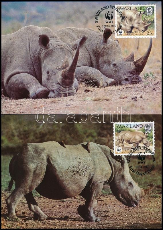 WWF: Rhinos 4 CM, WWF: Orrszarvúk 4 CM