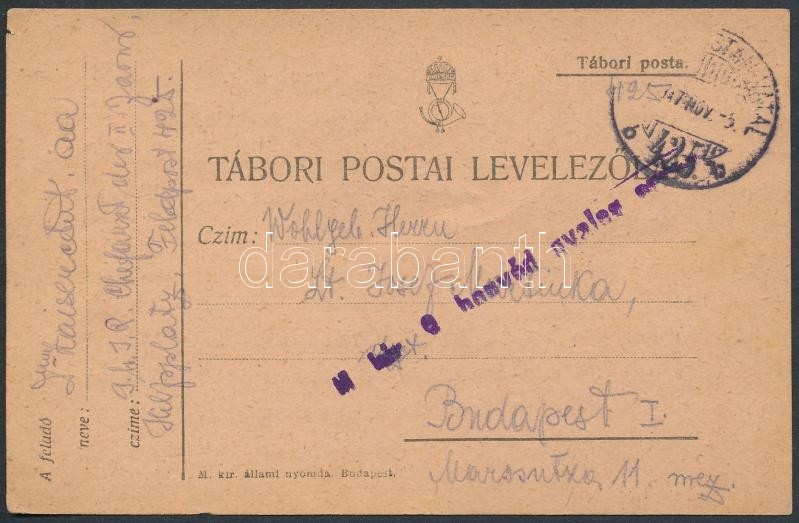 Austria-Hungary Field postcard, Tábori posta levelezőlap &quot;M. kir. 9. honvéd gyalog ezred&quot; + &quot;TP 425 b&quot;