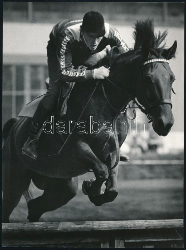 cca 1975 Gebhardt György (1910-1993) 2 db vintage fotóművészeti alkotása lovakról, 15,5x24 cm és 24x18 cm