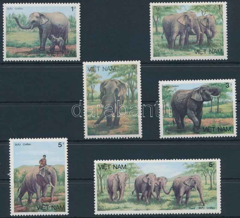 Elephants set, Elefántok sor