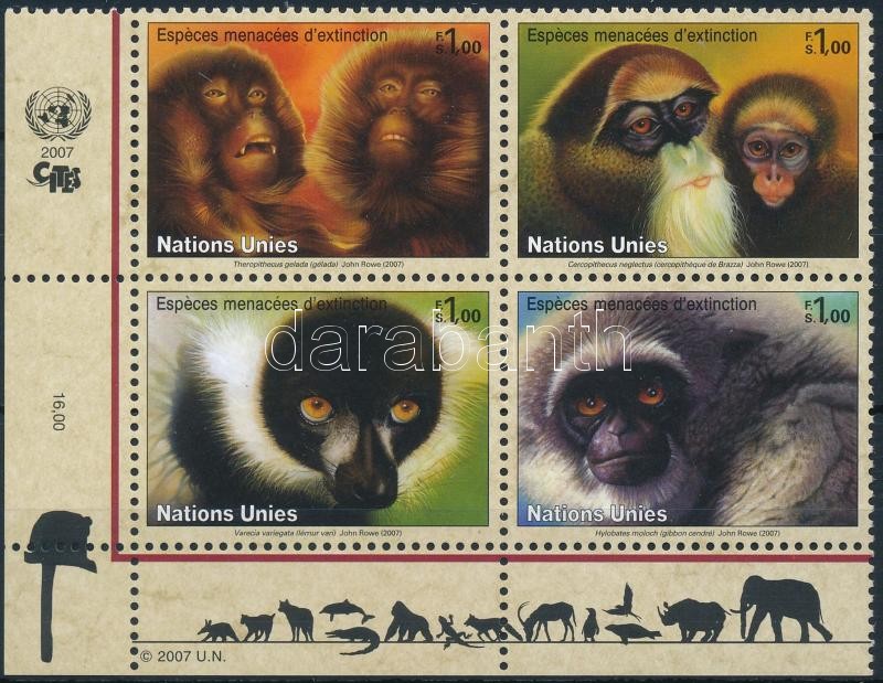 Veszélyeztetett főemlősök sor ívsarki négyestömbben, Endangered Primates set corner block of 4