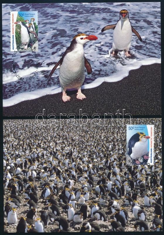 WWF: Császárpingvin sor 4 db CM-en, WWF: Emperor Penguins set on 4 CM