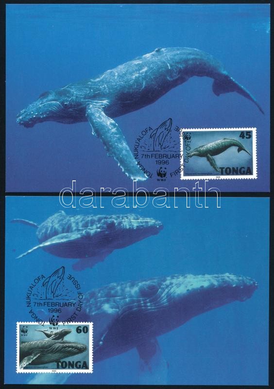 WWF: Púpos bálna 4 db CM-en, WWF Humpback whale 4 CM